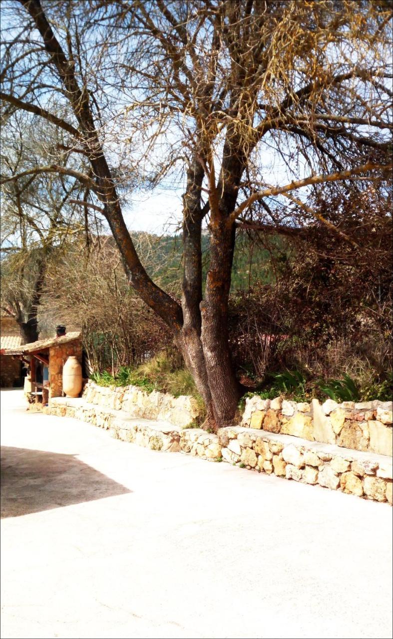 Casas Rurales Picos Del Oso Riopar Bagian luar foto