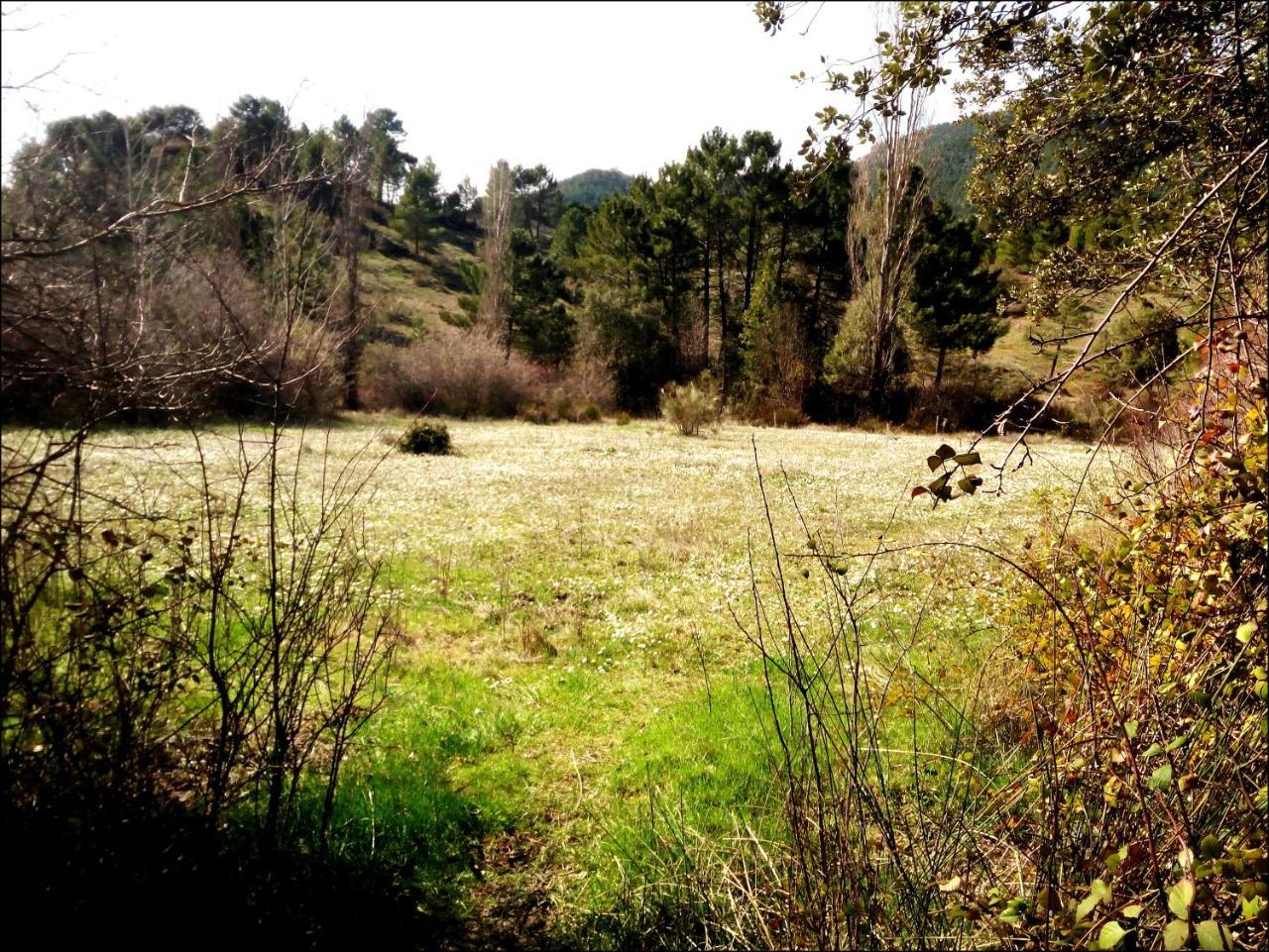 Casas Rurales Picos Del Oso Riopar Bagian luar foto