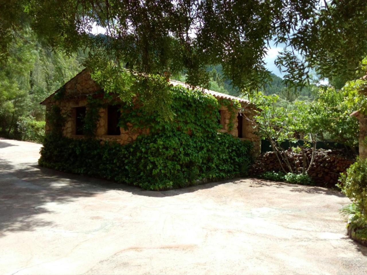 Casas Rurales Picos Del Oso Riopar Bagian luar foto