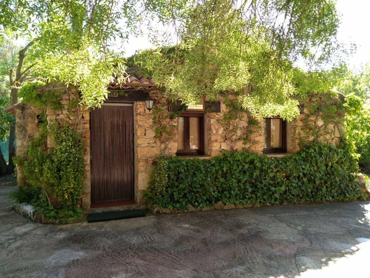 Casas Rurales Picos Del Oso Riopar Bagian luar foto
