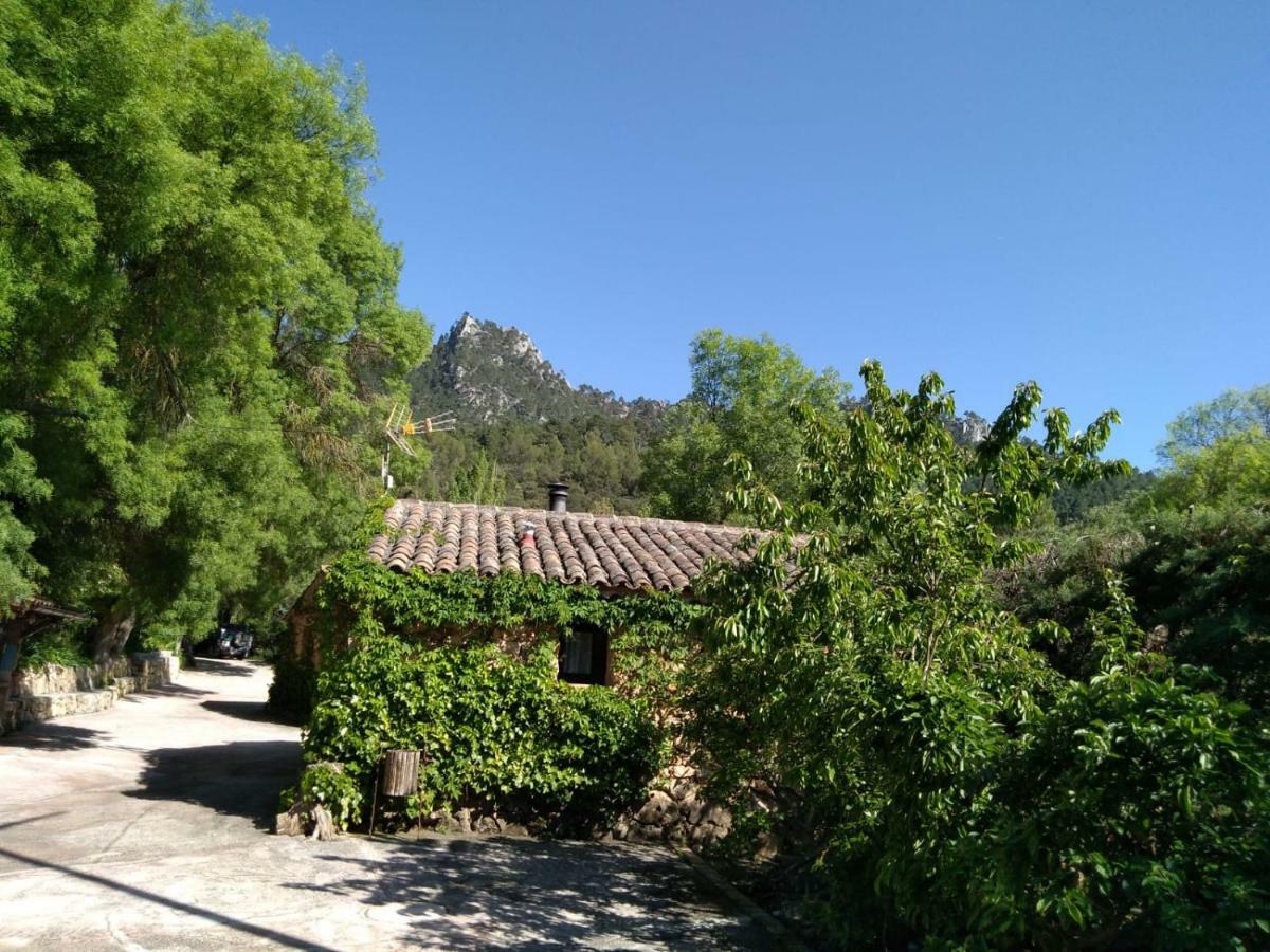 Casas Rurales Picos Del Oso Riopar Bagian luar foto
